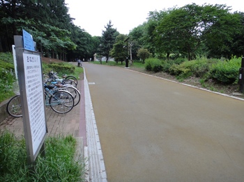 ３公園の道.JPG